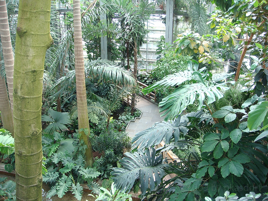Washington DC [2009 July 04] 192.JPG - Scenes from The United States Botanic Garden